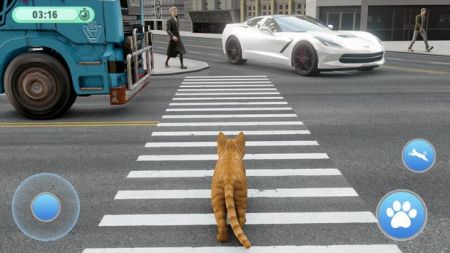 流浪街头猫逃脱