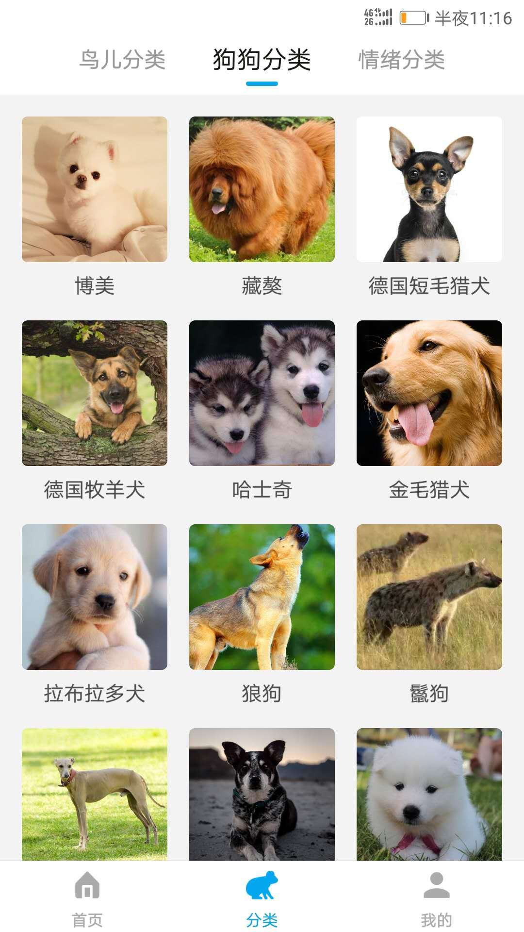 动物翻译器最新版
