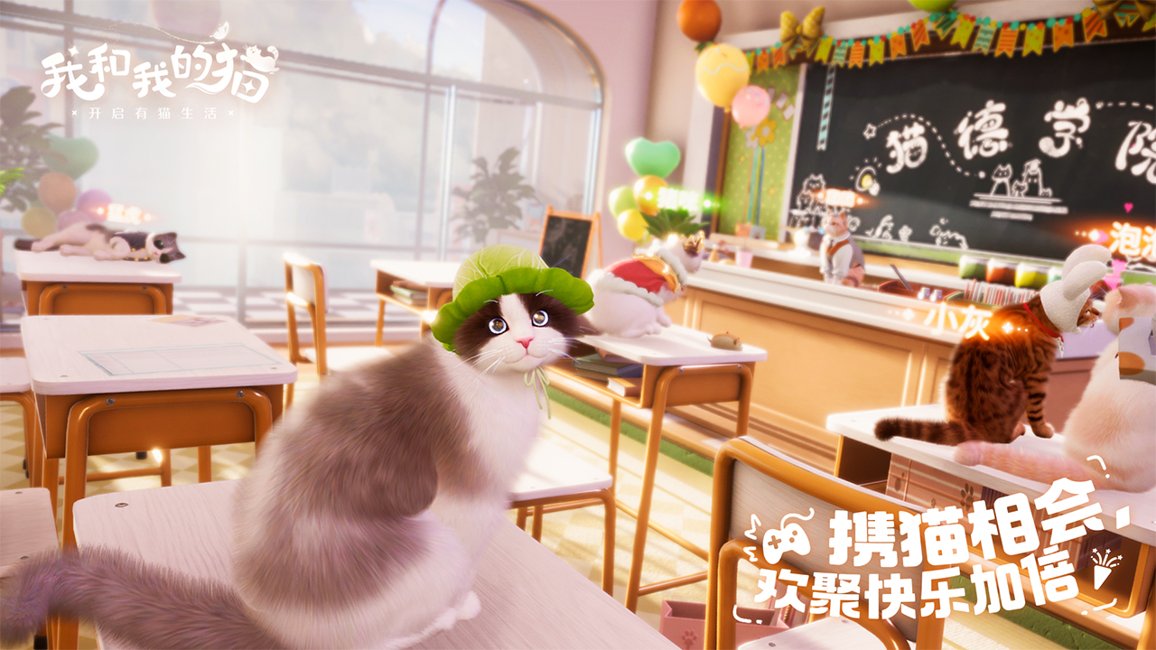 我和我的猫apk