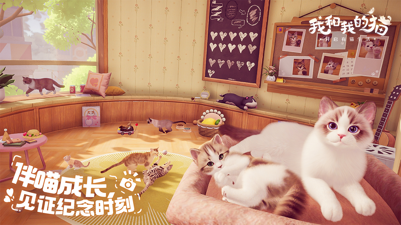 我和我的猫apk