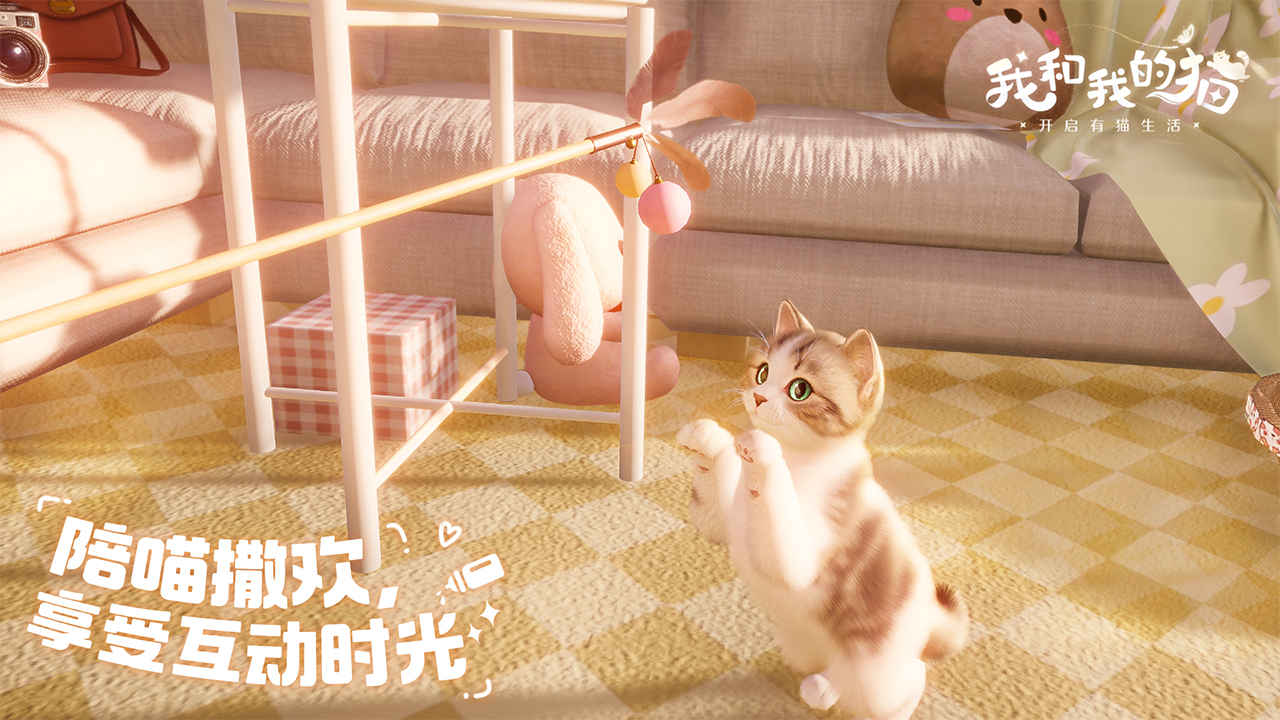 我和我的猫apk