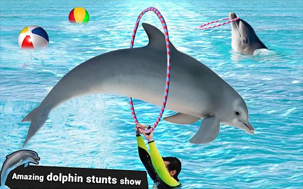 海豚水上特技表演