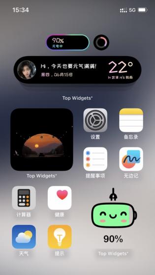 Top Widgets苹果版