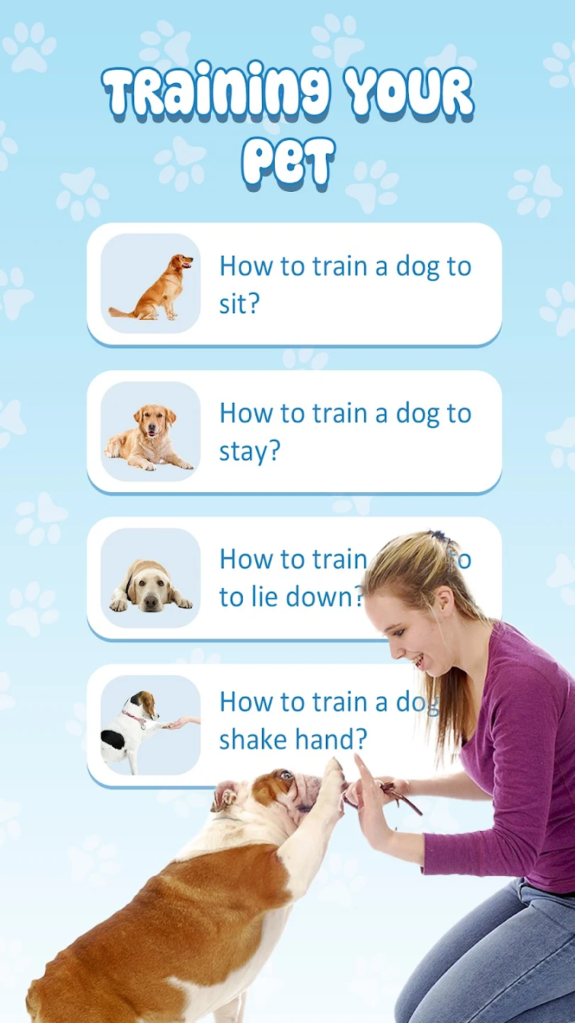 Pets Translator