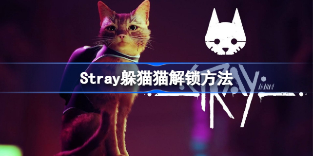 Stray躲猫猫怎么解锁 Stray躲猫猫解锁方法