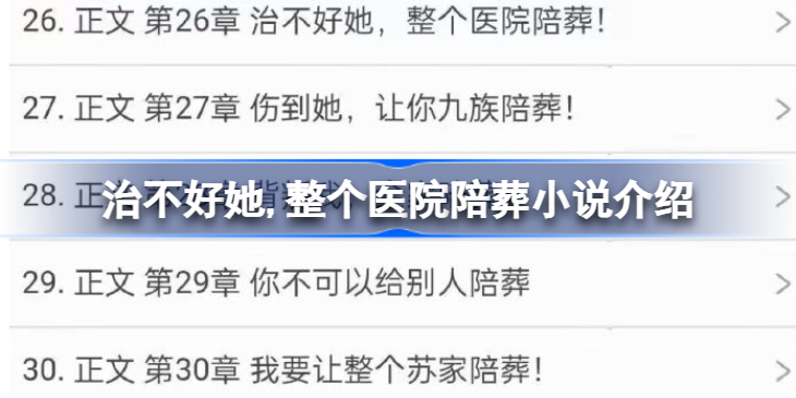 治不好她,整个医院陪葬是什么文 治不好她,整个医院陪葬小说介绍