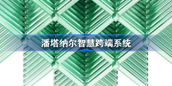 潘塔纳尔智慧跨端系统 潘塔纳尔系统怎么样