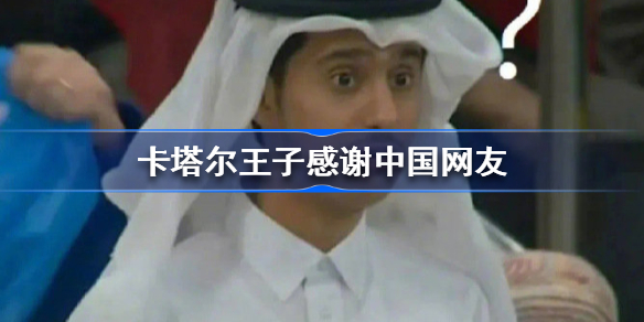卡塔尔王子感谢中国网友 卡塔尔小王子表情包大全