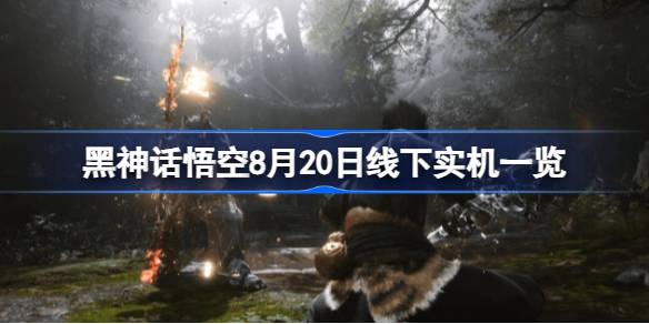 黑神话悟空线下试玩怎么样 黑神话悟空8月20日线下实机一览