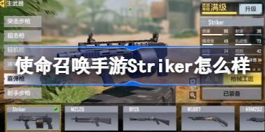 使命召唤手游Striker怎么样 CODM打击者霰弹枪最新配件推荐