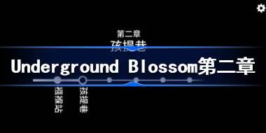 Underground Blossom第二章攻略 地铁繁花第二章图文攻略