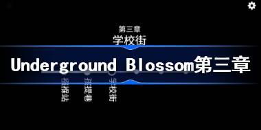 Underground Blossom第三章攻略 地铁繁花第三章图文攻略
