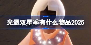 双星季物品大全