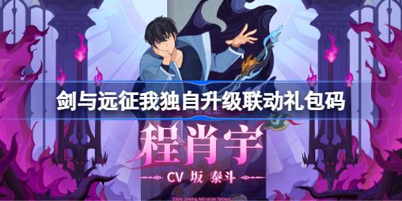 剑与远征我独自升级联动礼包码2025 剑与远征我独自升级联动兑换码最新
