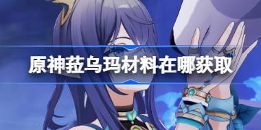 菈乌玛养成材料