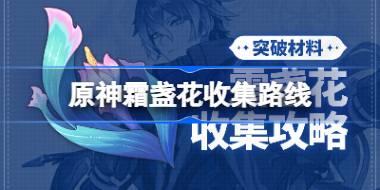 原神霜盞花收集路線 原神霜盞花在哪采集