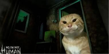 寻找伪人真的特别适合做成小黄油......