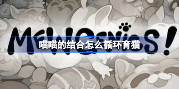 喵喵的结合怎么循环育猫